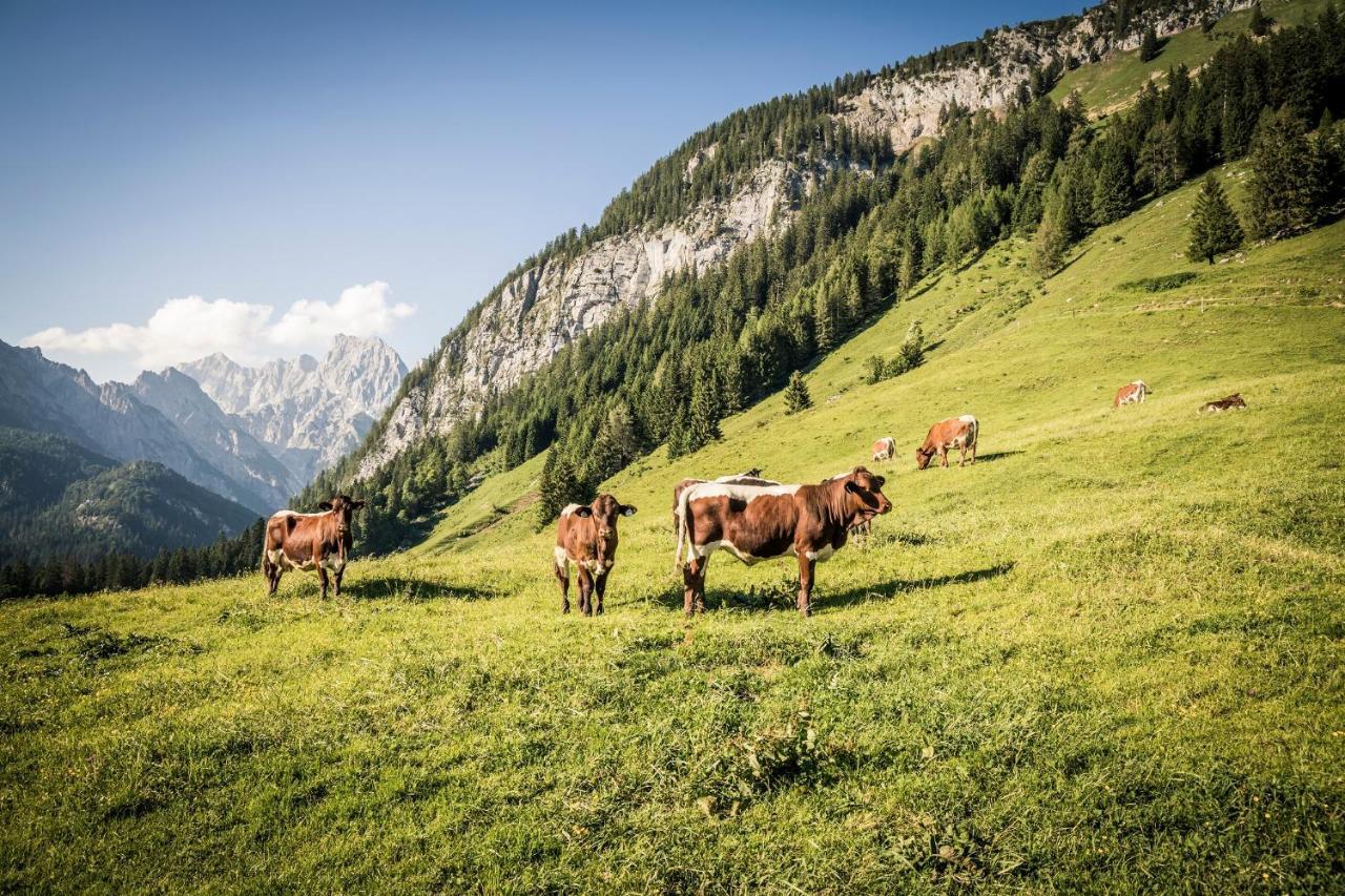Ferienwohnung Im Gaestehaus Sieger-Brandner Ramsau bei Berchtesgaden Zewnętrze zdjęcie